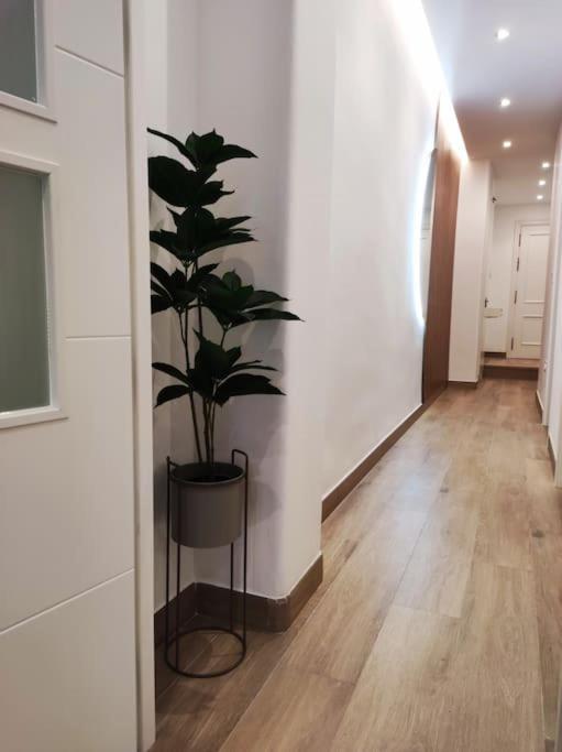 Apartamento Sierra-Sol Ρόντα Εξωτερικό φωτογραφία